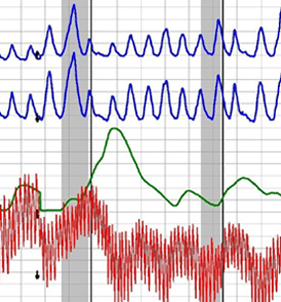 a polygraph test in Bakersfield